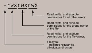 Permissão de pastas no Linux: guia prático de chmod e chown