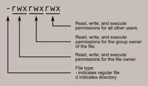 Permissão de pastas no Linux: guia prático de chmod e chown
